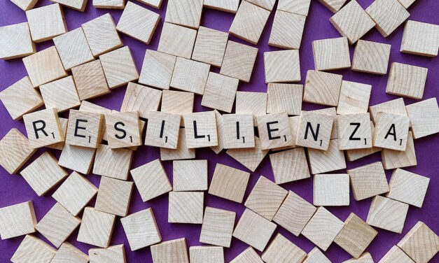 Sicurezza e successo: resilienza