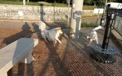 Video di Iron e Hero