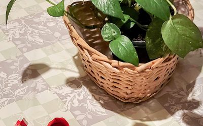 La merenda pomeridiana foto