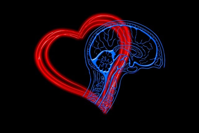Intelligenza emotiva: la soft skills dai risvolti positivi
