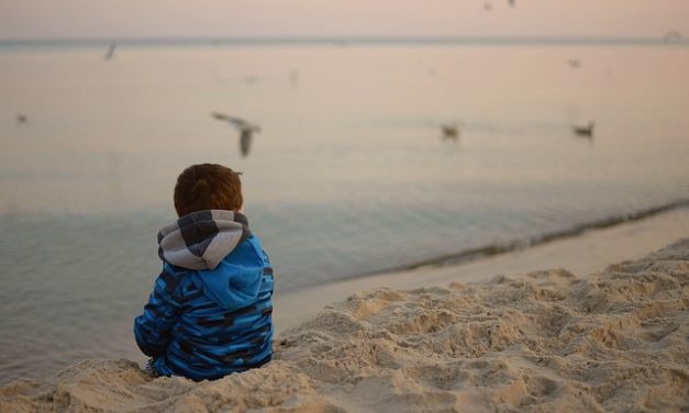 Contro la solitudine a volte basta una coda che scodinzola
